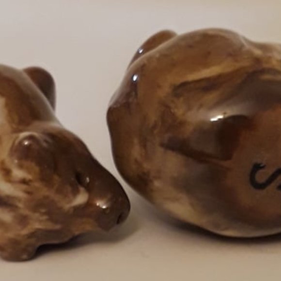 UNIQUE LITTLE BEARS - SALT & PEPPER SHAKERS - GREAT ADDITION TO ANY COLLECTION - Picture 4 of 7